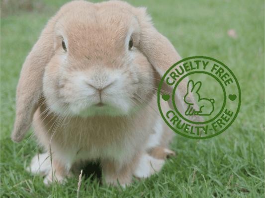 Cruelty Free 🐰💕 y Eco Friendly 🍃
